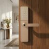 Pro Tech DG 104 Mortise Digital Door Lock